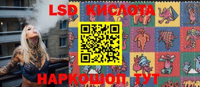 гашик Новокубанск
