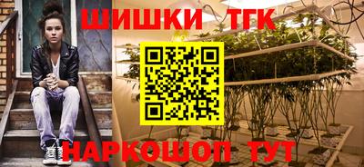 прущие грибы Новозыбков