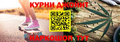 прущие грибы Новозыбков