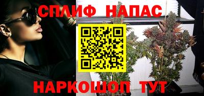 прущие грибы Новозыбков
