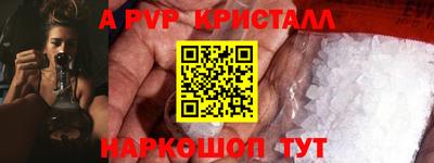 прущие грибы Новозыбков